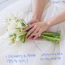 봉양로-2 | 레이디 창원점(현) 웨딩스튜디오 누앙 가격 및 보정 솔직 후기+메이크업(뷰티진동희 창원점)-숲을지나