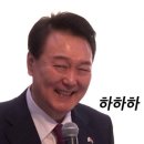 카토피아 이미지