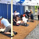 자연과호수 이미지