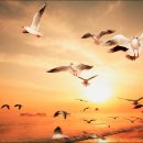 전곡초교 이미지