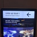 국립중앙박물관 디지털 실감영상관1 [왕의 행차, 백성과 함께 하다] 이미지