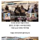 군필 한국인들과 서바이벌 게임을 한 폴란드인들의 최후 이미지