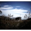 황매산군립공원 이미지