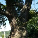 용정1리 마을회관 이미지