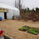 청종농장 이미지