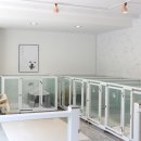 화이트하우스 이미지