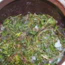 백초(여) 이미지