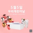 개린이날 이미지