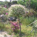 찬조농장 이미지