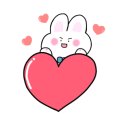 성남애견 이미지