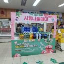 섬 마트