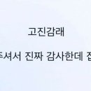 용재두꺼비