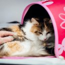 (주)메디비아 이미지