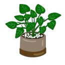 미소한상 이미지