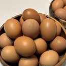 무인55 | 구미 계란 할인 무인판매점 계란팜 내돈내산 후기