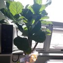 의료법인 다솔의료재단 이미지