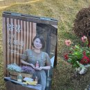 꿀벌농장 | 경기도 평택 꿀벌농장 온택에서 꿀벌체험후기