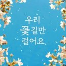 ❤️💙💜사랑가득 부산방(5️⃣비/5️⃣1️⃣전대) 국화꽃 2023년 12월 15일 일곱번째이자 마지막 출부 올립니다❤️💙💜 이미지