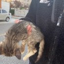 간동파출소 이미지