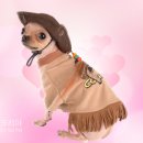 장안동물병원 이미지