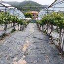 원일농산 - 파주시 소라지로195번길 64 | 원일농산