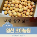 초아스마트팜 | 영천복숭아, 초아농원 살구 진짜 맛있어요! 강추