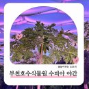수피아플라워 | 상동호수공원 부천호수식물원 수피아 야간개장 부천아이와 가볼만한 곳