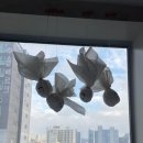 크라운호프광안해변로점 | [고슐랭] [일상] 23년 01월 Ⅱ