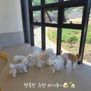 도근도근 이미지