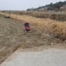 장어여행 이미지