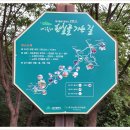 팔공산왕건길 7코스 이미지