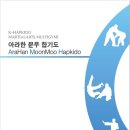 아라한 문무 합기도 이미지