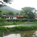 백마농장 이미지