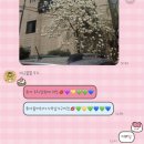 [후기] bebit 베빗님 #14 체리톡 테마