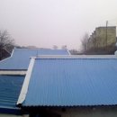 양철지붕위의고양이 이미지