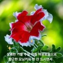 토요일 이미지