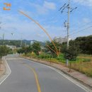 이동초교 이미지