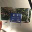 UR(동해시)-[발한로]-상-17 | 묵호 여행 당일치기 코스 소품샵 맛집 내돈내산 추천