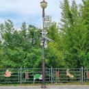 창녕 남산근린공원 이미지