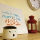 다미솔