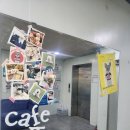 카페또또 | 창원상남동 애견카페 카페또또 솔직후기