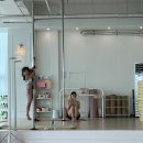 벨로 | 춘천폴댄스 추천｜초보자도 부담 없이 시작한 벨로 폴댄스 후기