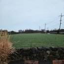 프로퍼밀도 이미지