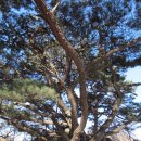 월악주유소 | 충주호반과 월악산을 잘 볼수 있는 등곡산과 월형산(&#39;12.2.11)