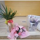 피어리대구결혼정보회사 이미지