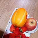 털보민박펜션 이미지