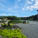 퍼즈빌 | 경주 프라이빗한 수영장 독채 펜션 내돈내산 <퍼즈빌 풀빌라>