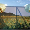 난정리(해바라기정원) 이미지