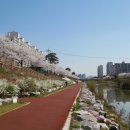 통복천 이미지