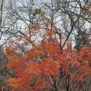 좋은친구들 이미지